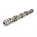 Camshaft GM Gen V LT1 Z514943