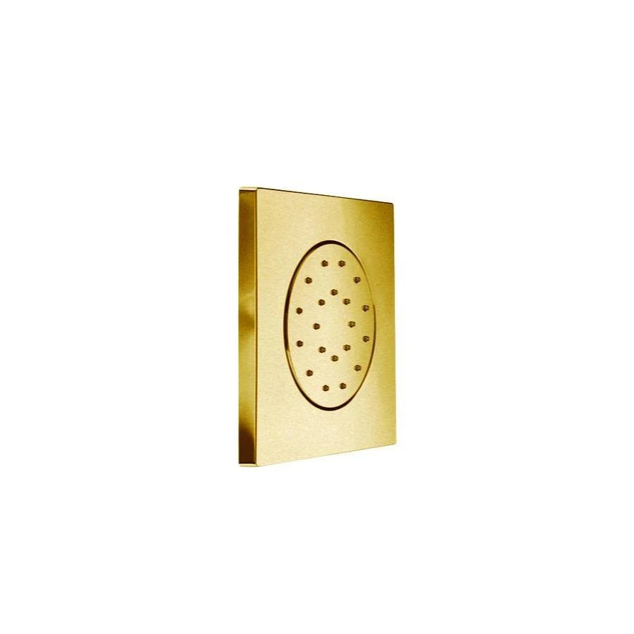 Satin Gold Shower Jet P59671